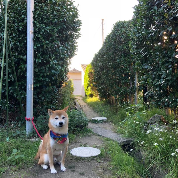 238ac392 fe02 4b9c 9827 3b7f706de9d5 1539074242725