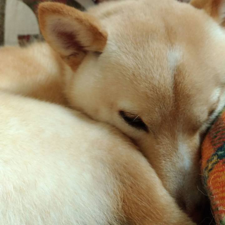 238ac6d4 db01 4213 9ca1 58202846c0b1 1515673369810