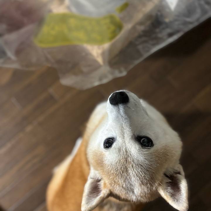 238adcfe 03fb 46e0 afc0 41eec988b7df 1753829675573