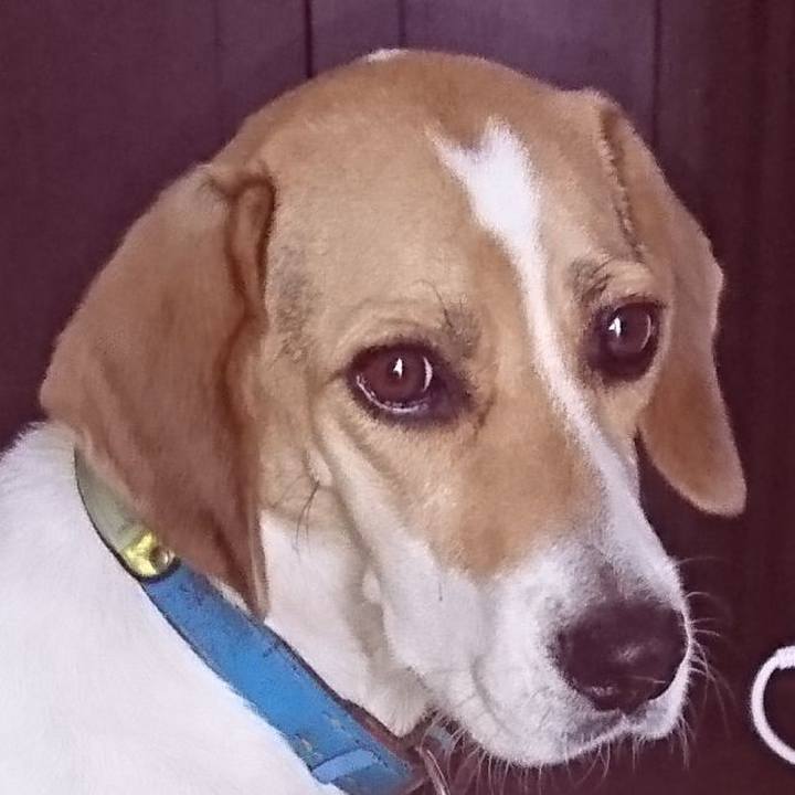 238ae9b8 525e 4156 9ce6 8a70a197e003 1568259528324