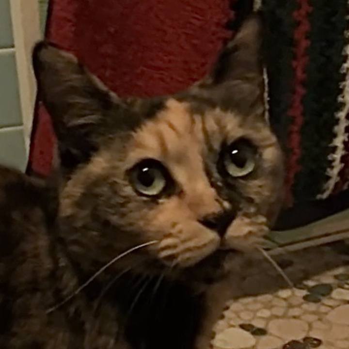 238af134 a248 465a bcca a189d390d57a 1732991816925