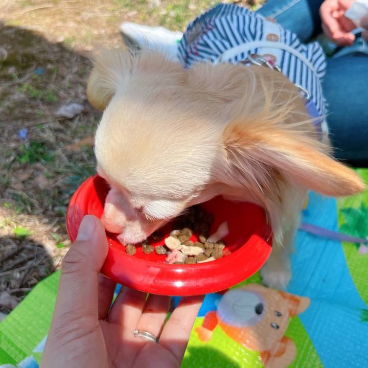 238b25c5 0b19 4187 81bb f9616d82a865 1649577154809