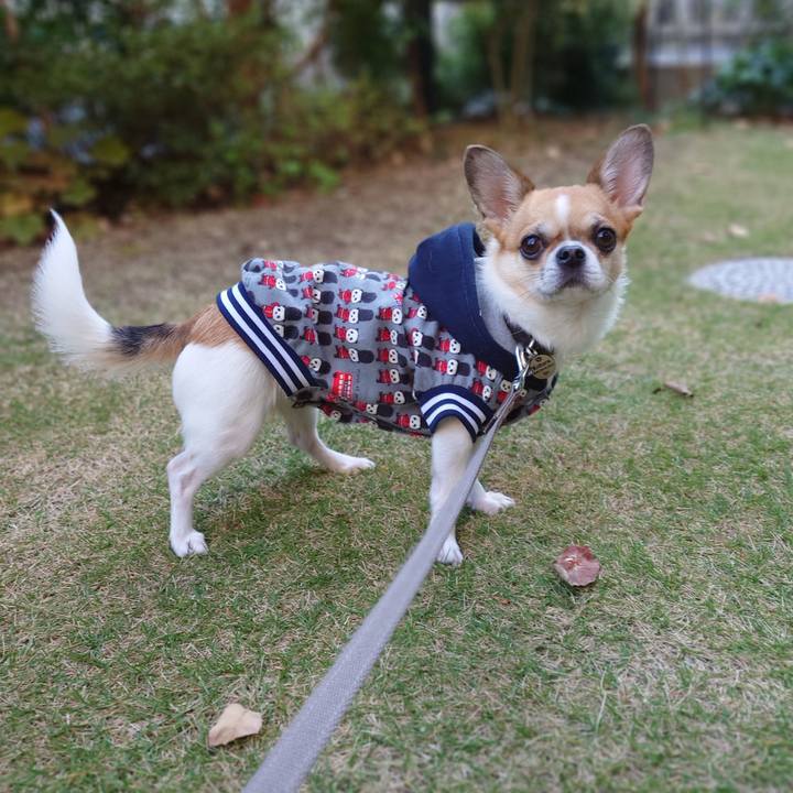 238b5095 4f0a 4540 8a22 46f76304b4cf 1636877797149