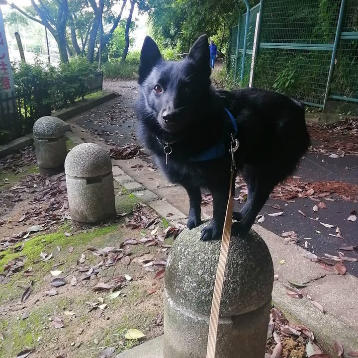 238b5dd0 1372 44d8 8cd9 0097a180d50c 1621633706443