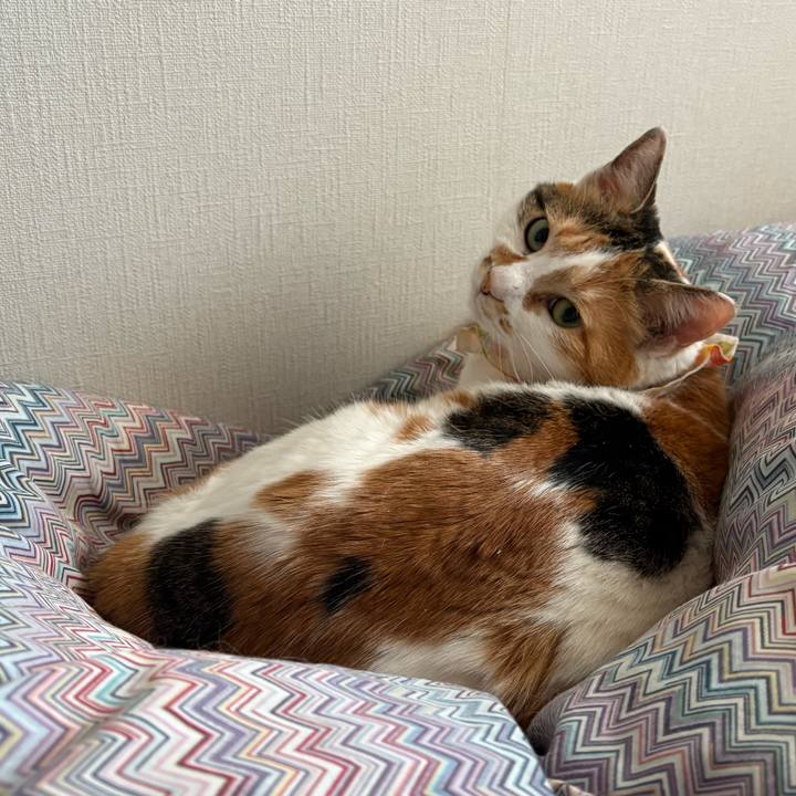 238b6151 0a53 4b90 ad16 ef19d6ccde25 1773199247986