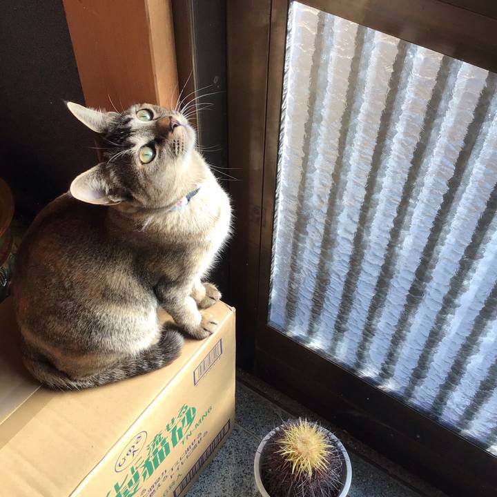 238b69ca 83d4 462c b037 cd9e820b23cf 1580276921778