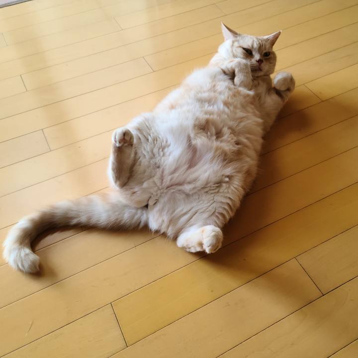 238bf346 e8c7 4c89 8b3e 2e1396d88ccf 1628240735481