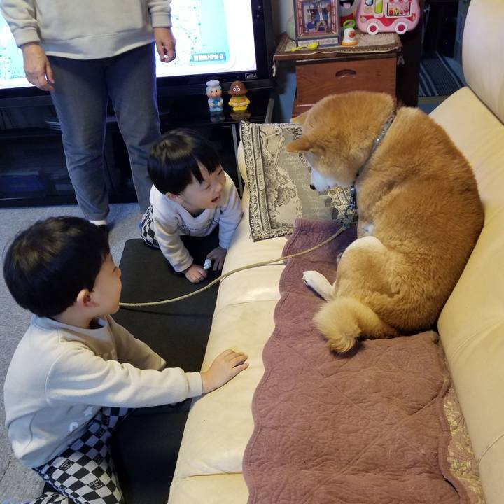 238c11e7 5ab6 494d b256 abb399a4f326 1700090830813