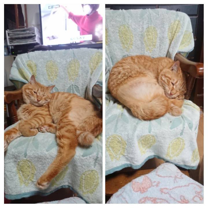 238c1307 596e 4fac 8bdc bf7d6470840b 1656895324495