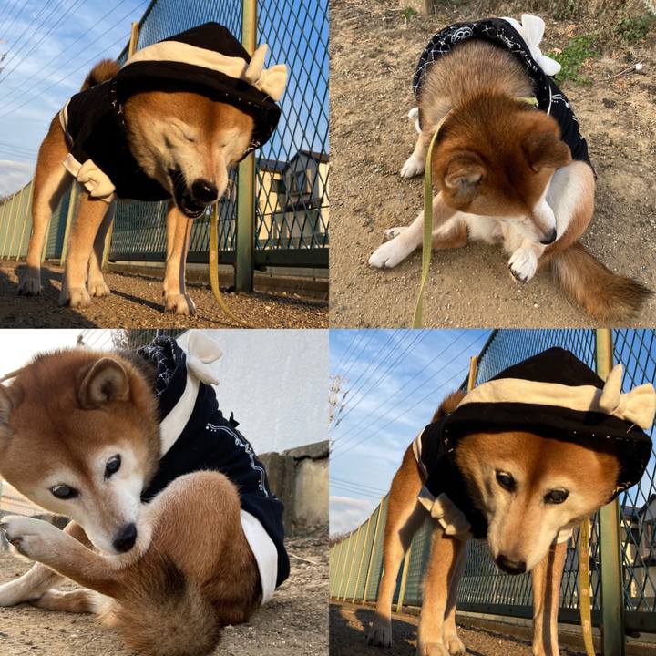 238c26cc 8d7a 4528 b9bb 8cf2dd0badcf 1703921148682