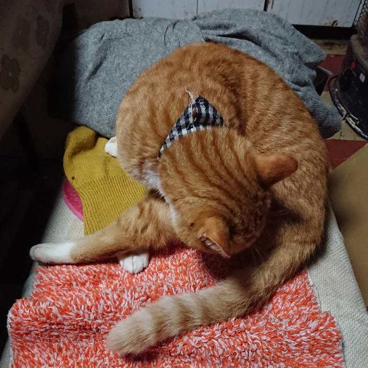 238c2e9d 1f3a 478b ae84 2d35e2463625 1571736321487