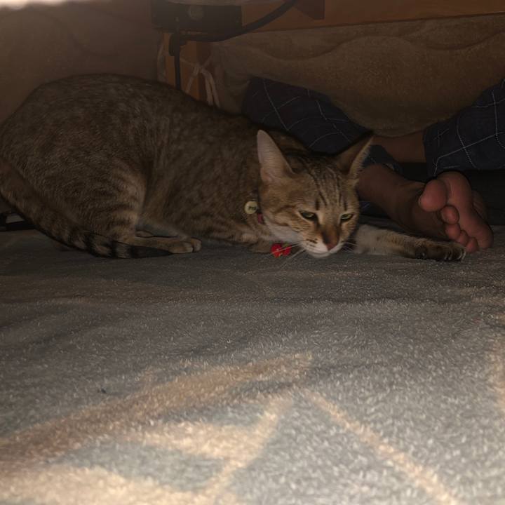 238c30a1 f2ba 4ee0 b390 60202ff88319 1641112309652