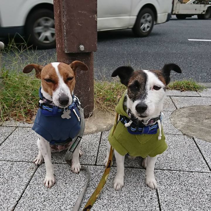 238c30e3 5285 40ba a8a4 9a1010426a5b 1539555515784