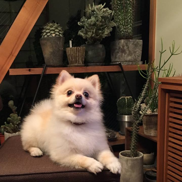 238c7370 4ca3 43aa ab25 cd350f358598 1528328869360