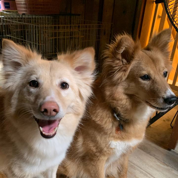 238c875f 6f58 4f2c 91a8 9979de26f9ba 1593842291595