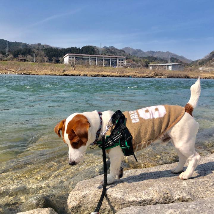 238c8b44 f01f 4082 80c7 d8427fd4d51e 1551771947561