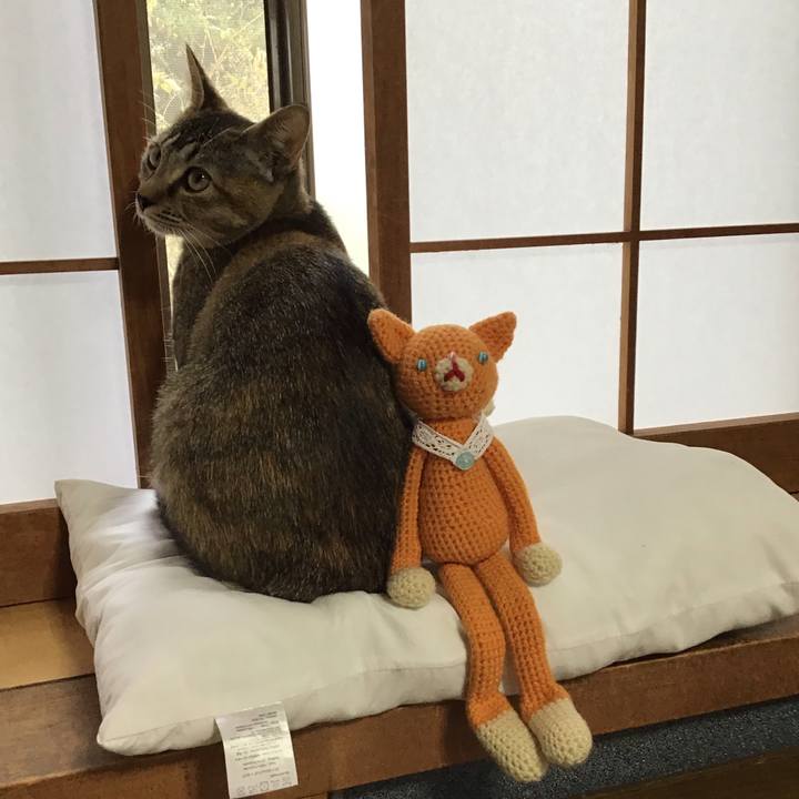 238ca039 581b 4550 b6f8 b38e7c3ff6c3 1574475141616