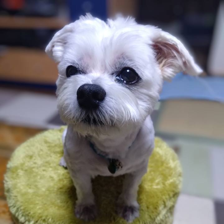 238cb74c 2455 4d89 bb37 f55eeb515c7c 1722512769563