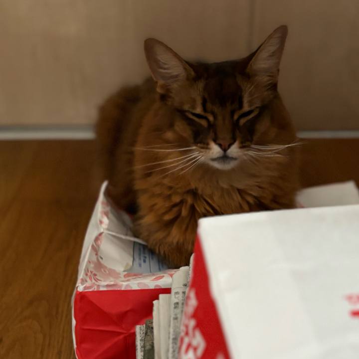 238cf805 6f90 40ed a051 ad8590032f20 1754621840744