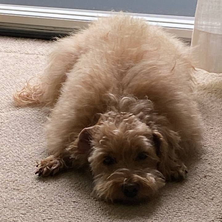 238d0b0f accb 4ad4 a848 9e4fed1b3d3c 1688378304829