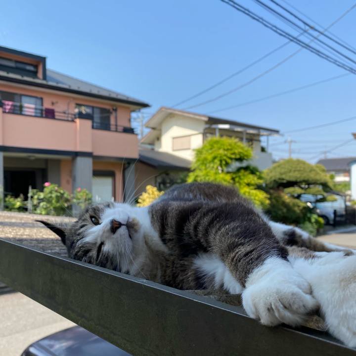 238d1e6d 8305 4ccb b4a4 d64426d3472d 1588333272482