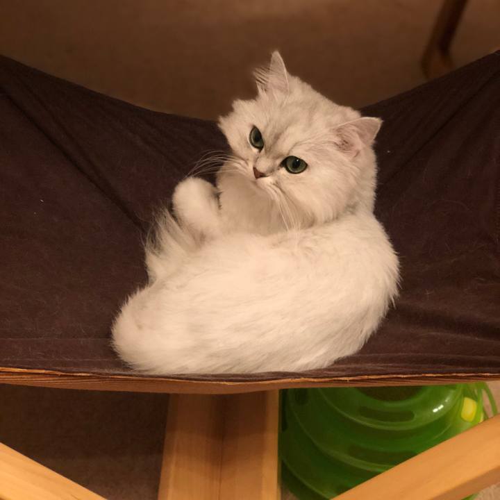 238d4a1f 23ce 44df 88b9 ddf79da7ca69 1527679360271