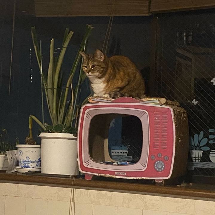 238d5447 a44b 4623 83fb 6a4738633a26 1683042675644