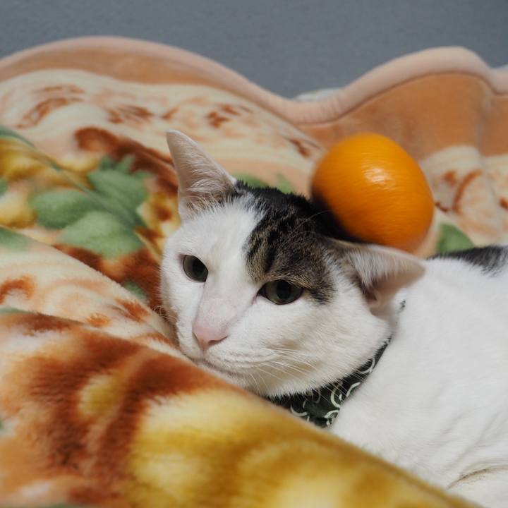 238d6f84 56b8 4e4a ad9c 8816c64dbd0a 1578634833891