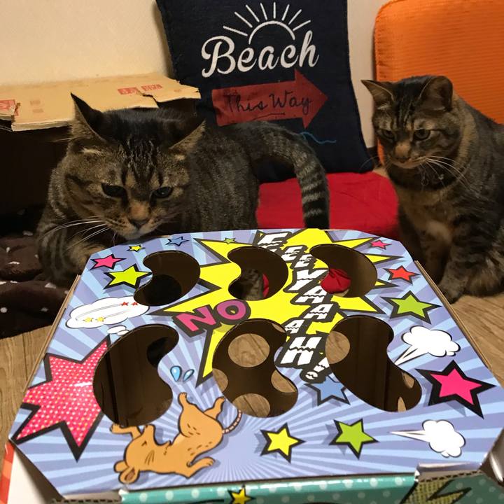 238d798b 5144 4aaa a8f3 dfbfa0eb4fd1 1648384535353