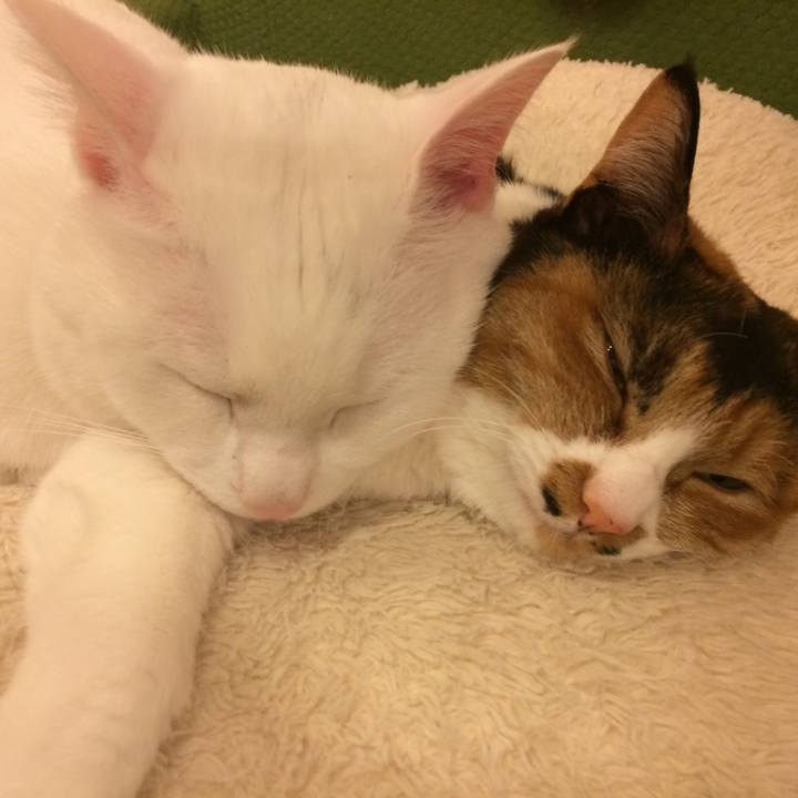 238d7a16 b703 4b3d 9022 70d226319657 1521857615794