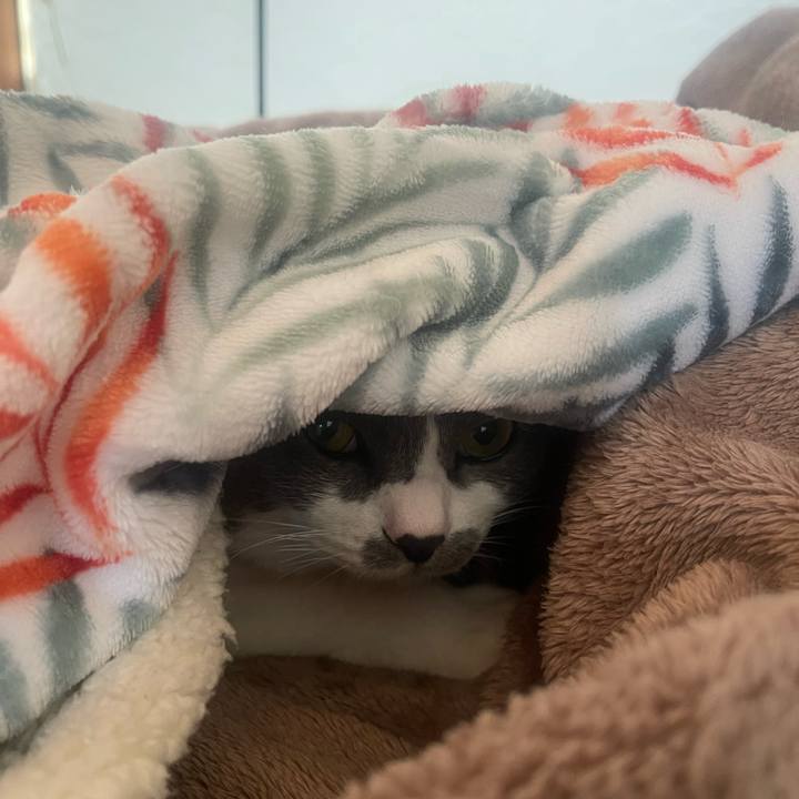 238d8267 fb13 4b9e b3bb 06ddd8fc76a8 1703372246937