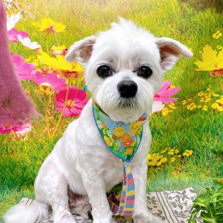 238d91dd 19c8 473c a906 faee982c41be 1748605557576