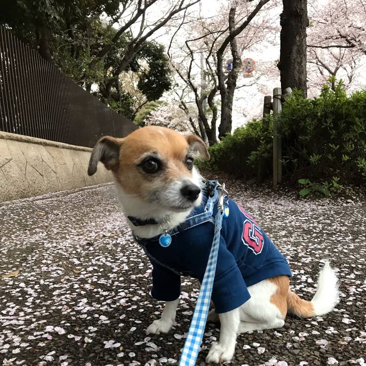 238d92b5 cfb0 4e90 89cb 1f50a43eeac3 1554709857074