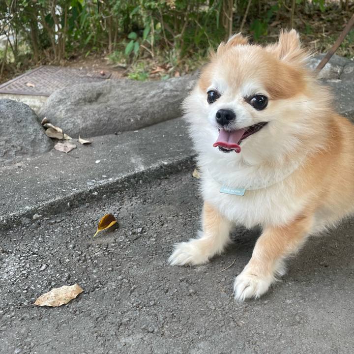 238da68e cbf6 4edc a7ea 7acaef576c2c 1756163361275