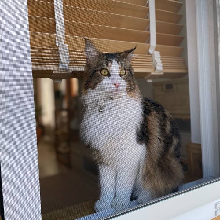 238db94a fdc7 428a 9345 2d2ae3507c83 1649023590023