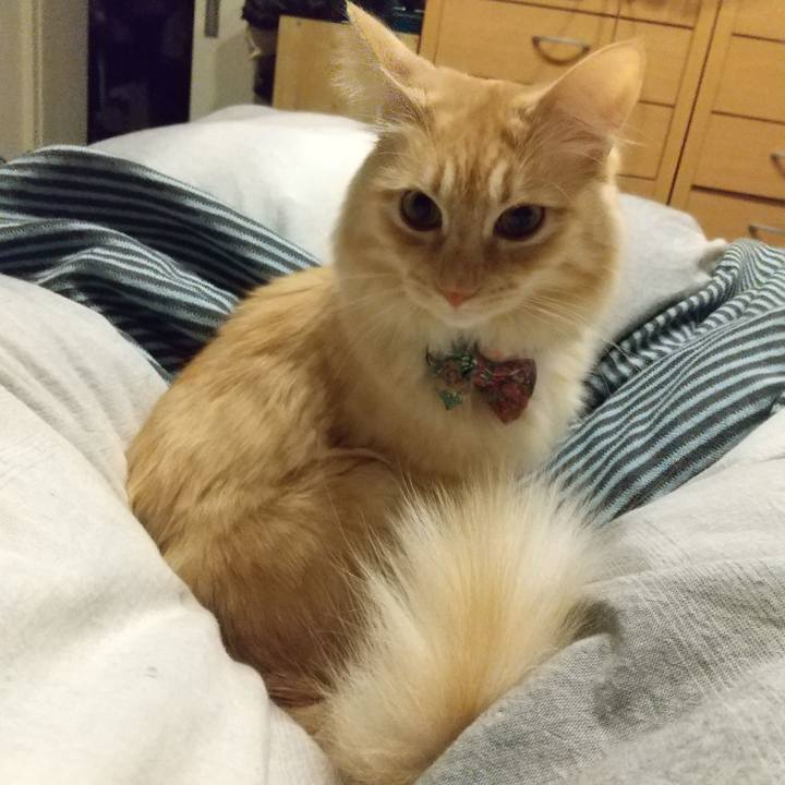 238dfe53 65c6 48ea 93d1 f0f2cad8820a 1641392213272