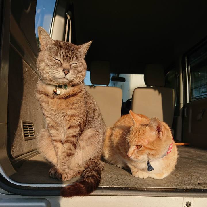 238e04e0 9441 4ad7 8cbe fc7466384a88 1558731034421