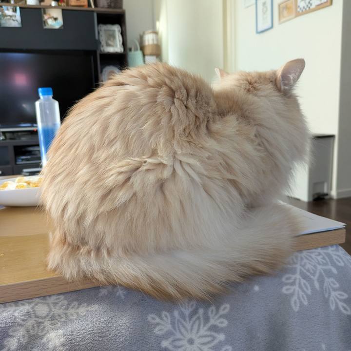 238e1586 6dc5 43de 9eee df2c702c9d60 1742452399881