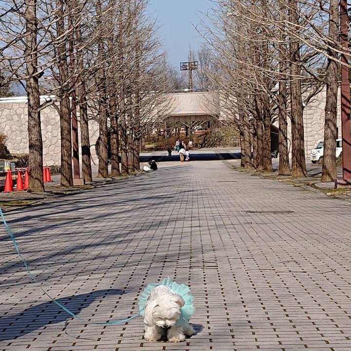 238e8d2b 90c7 4a66 85ea a6d205b33955 1583801972328