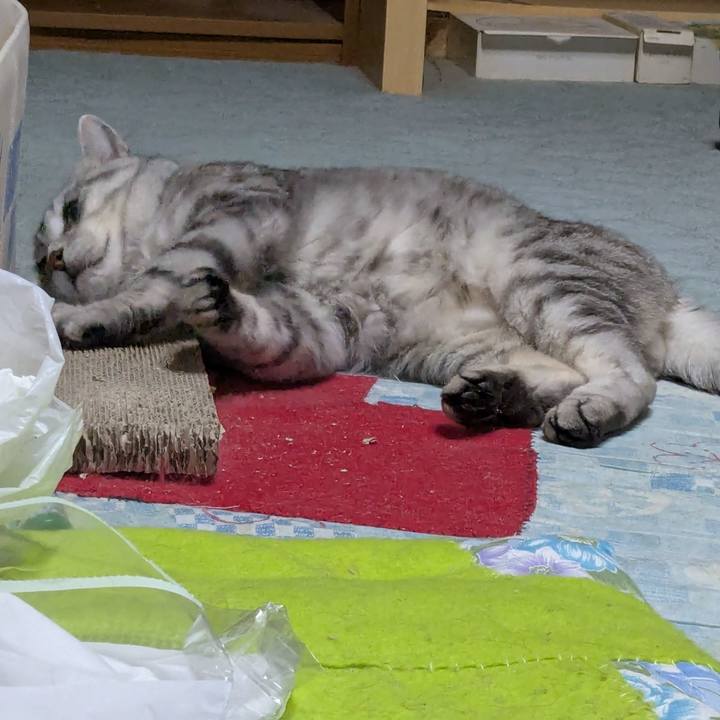 238ea321 eb7a 4cd1 8d73 83cae44de3a6 1743521453404