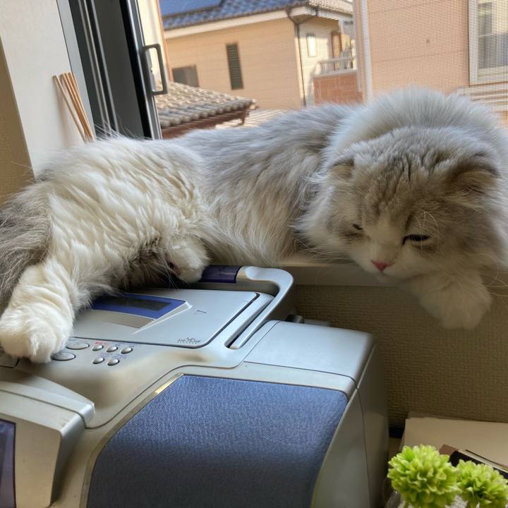 238eb5bc 6676 4a90 9143 c9ce89104a01 1622082858023