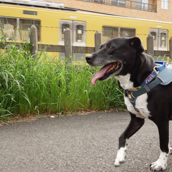 238ebbb7 4d3a 402e 8b8e daa55a3e460a 1713662358849