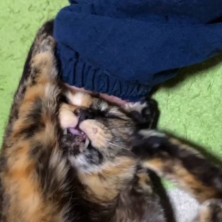 238edf10 df96 4018 8edb 2c39276d10e5 1743626526712