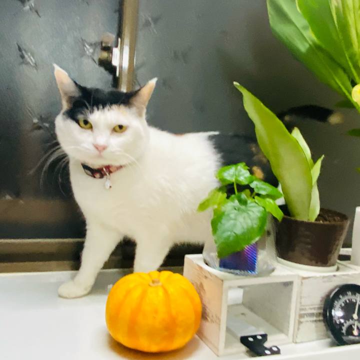 238ee8f1 ece0 4666 94cc 804c830823a5 1675779959397