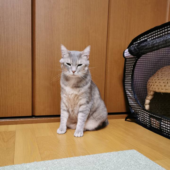 238ef1f1 475b 4733 8c46 1650bf3949e4 1649344133833