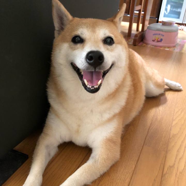 238f4232 1d73 4f25 a715 bbd8167e1ec0 1566465778485