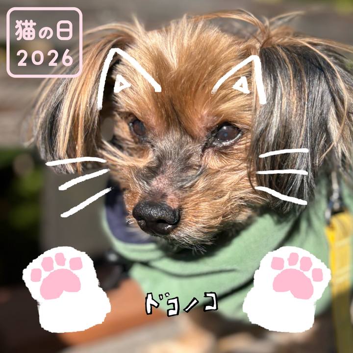 238f5c88 1c98 4447 865c 9984c90a2ffa 1771748875255