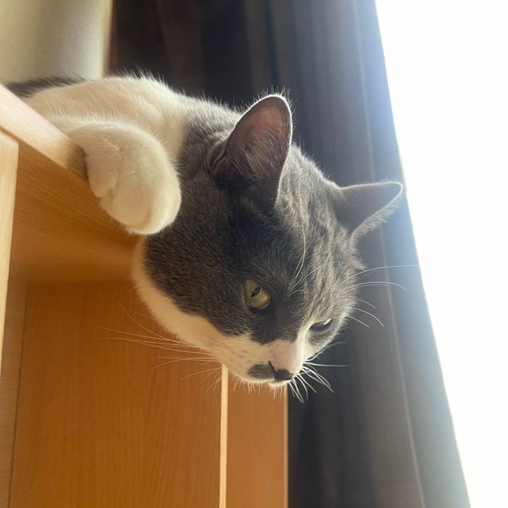 238f9010 80d4 4bde b40a c8c23fdd725b 1723246693531