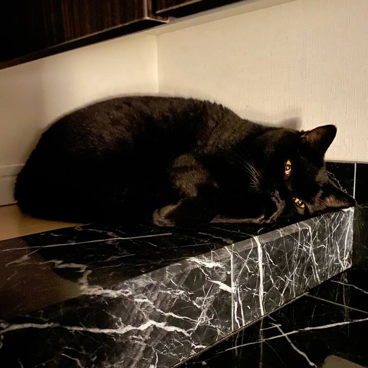 238f9186 aba1 48ee ad4d 7bba1a6cae60 1662638514327