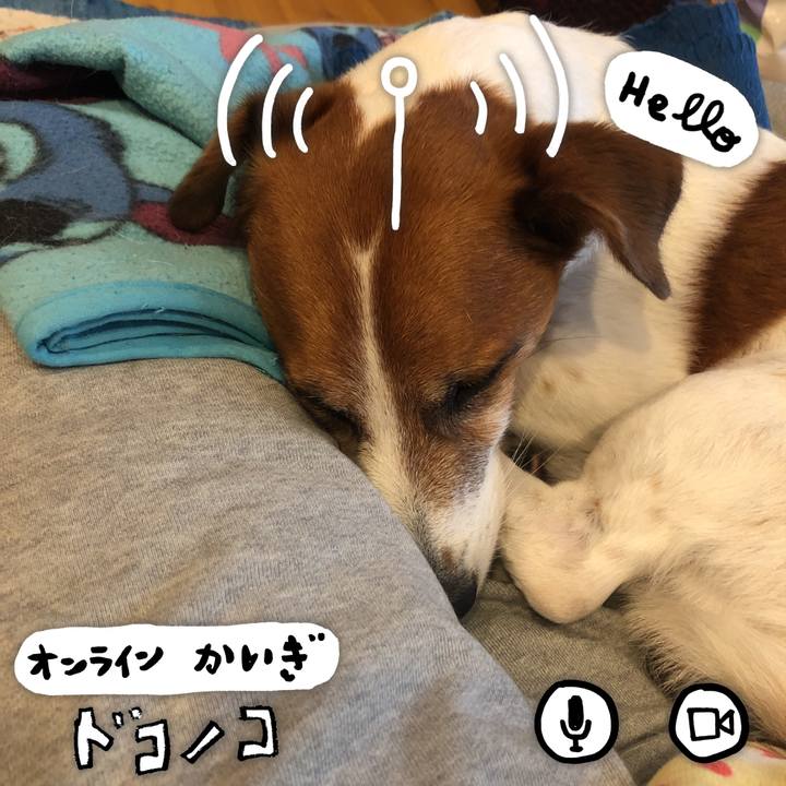 238fdb5e e0ff 49e4 8511 8126b24ab6d0 1590974647965